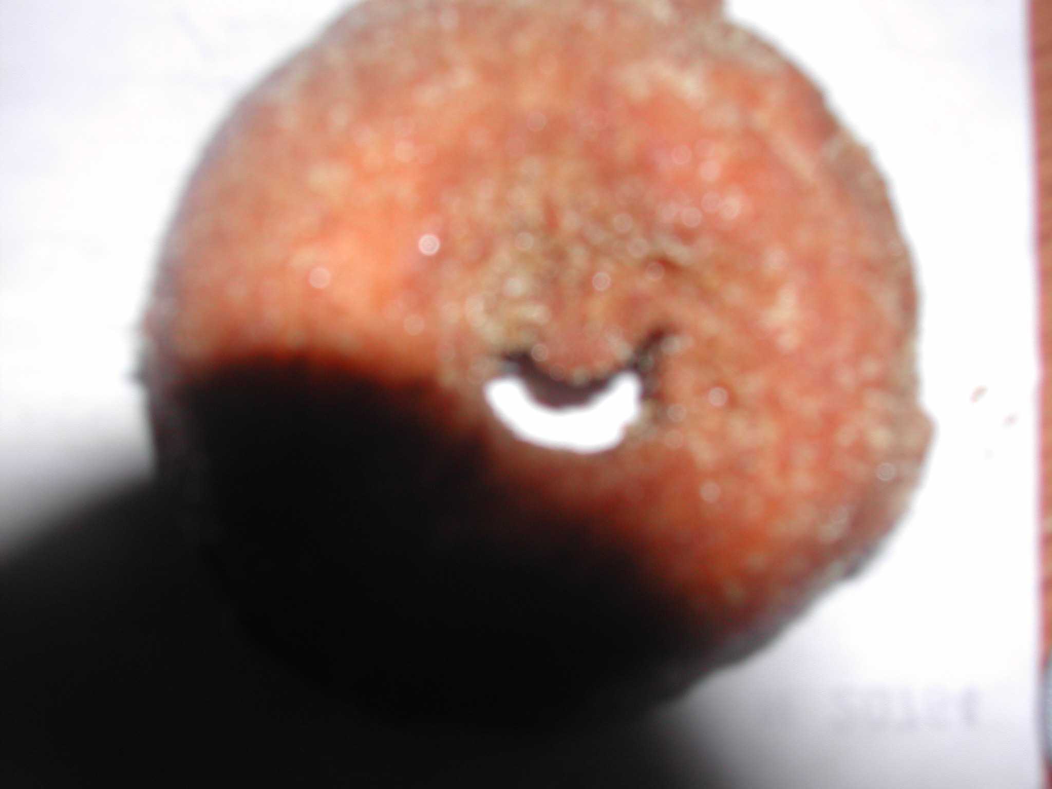 doughnut.jpg