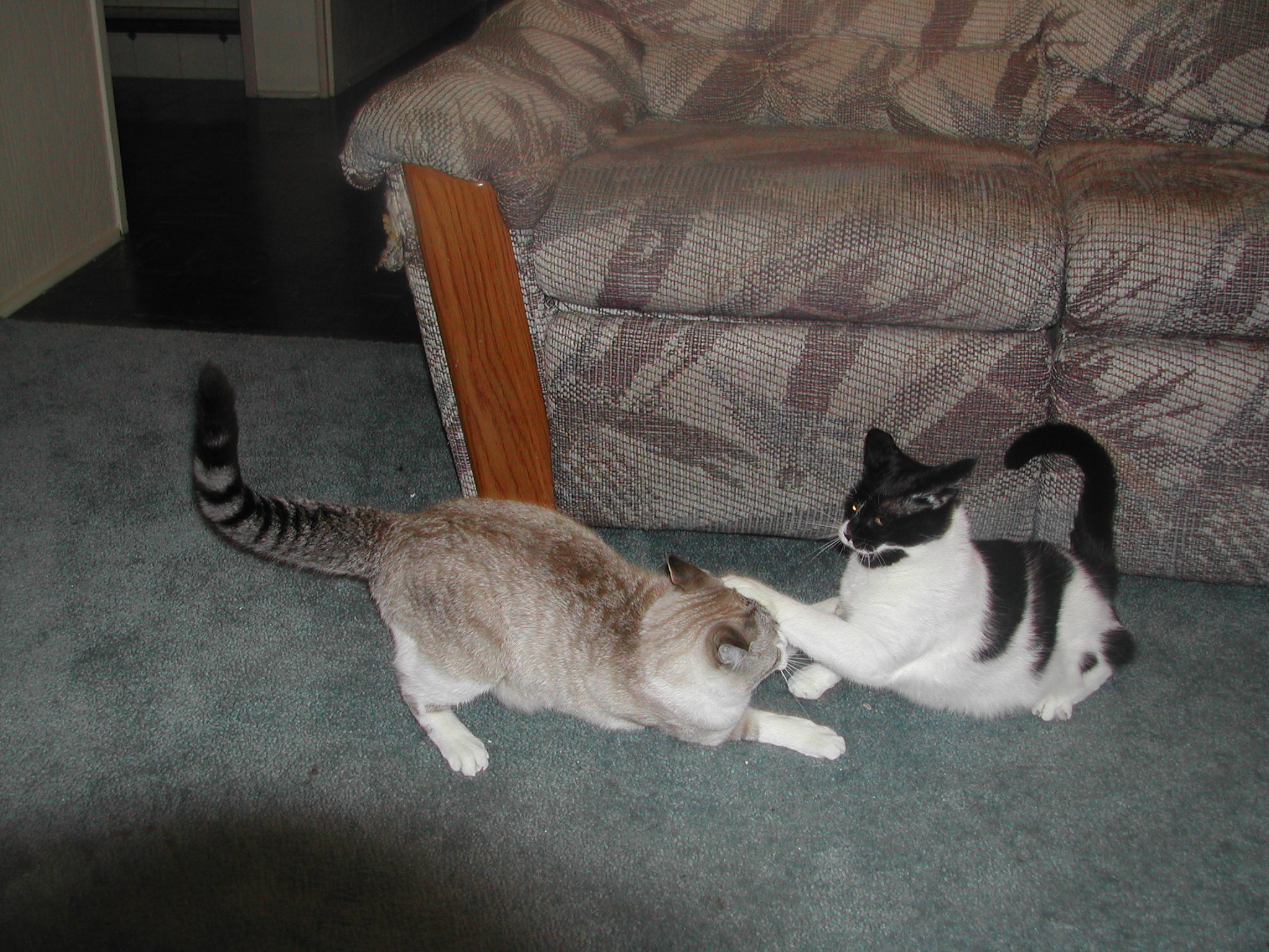 dscn0213.jpg
