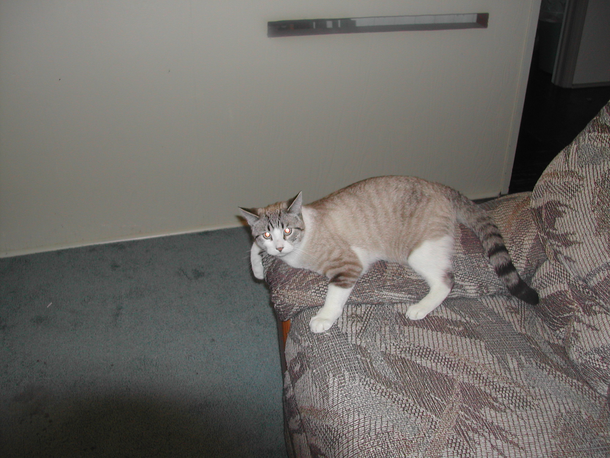 dscn0215.jpg