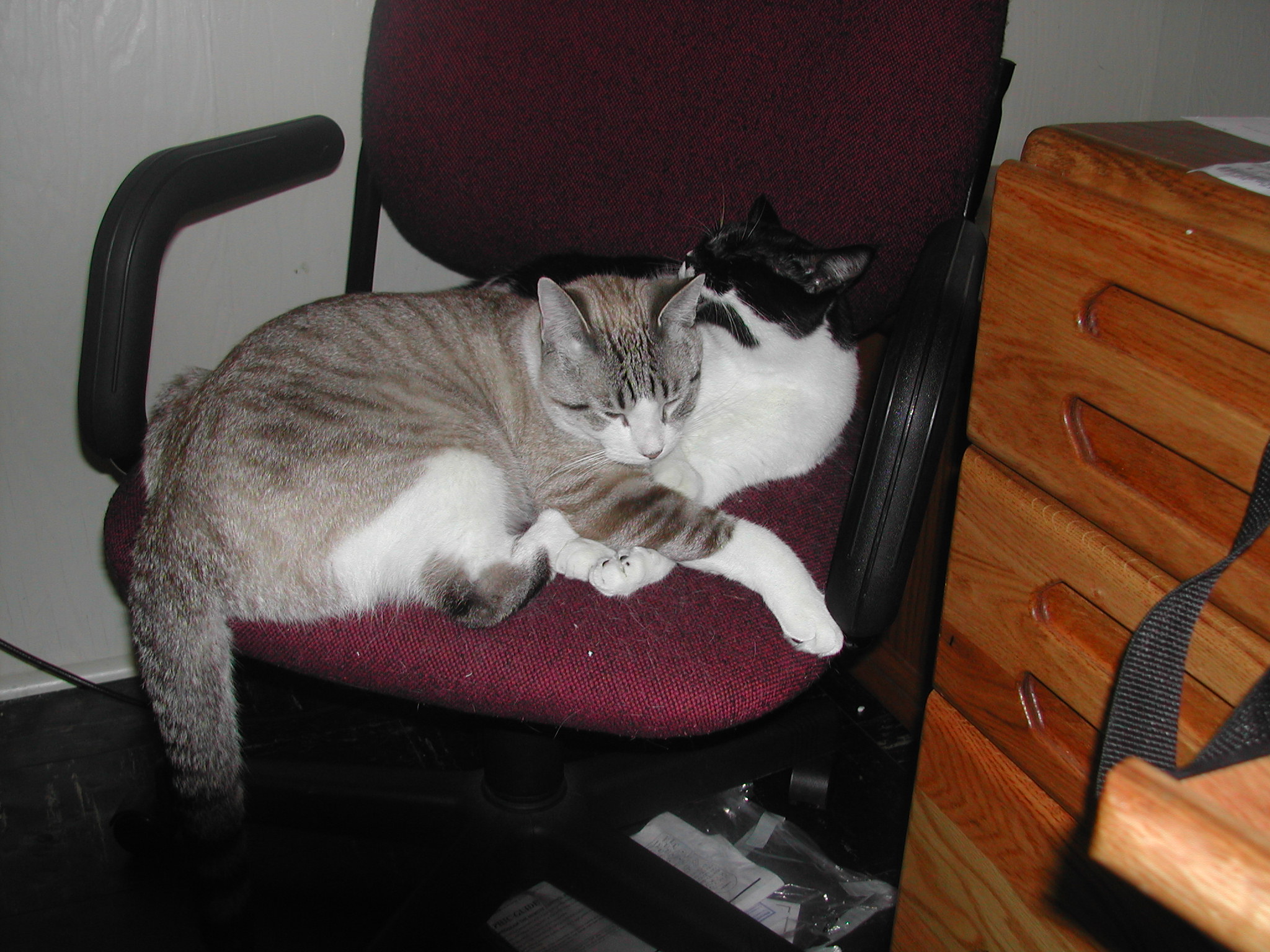 dscn0240.jpg